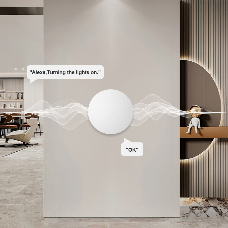 Tombol Nirkabel Pintar ZigBee  - Diy Electronics Button ulasan dan harga
